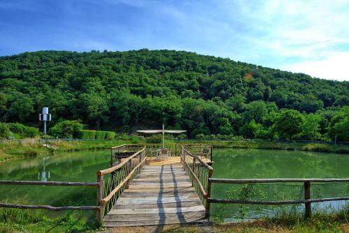 Figline Valdarno Apartment Sleeps 8