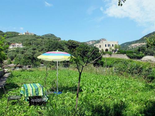Apartamento Cantina Delle Botti 241s