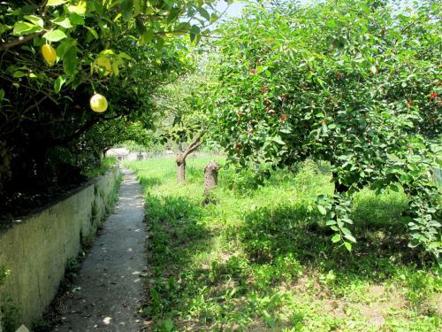 Apartamento Cantina Delle Botti 241s