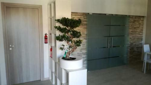 Bonsai Bed & Breakfast