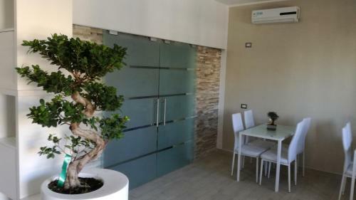 Bonsai Bed & Breakfast