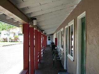 Jumping Frog Motel