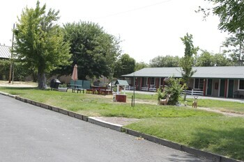 Jumping Frog Motel