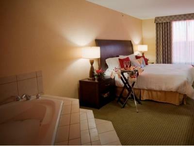 Hotel Hilton Garden Inn Dulles North