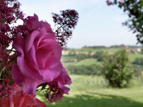 Podere Fiorito Castagno Della Civetta