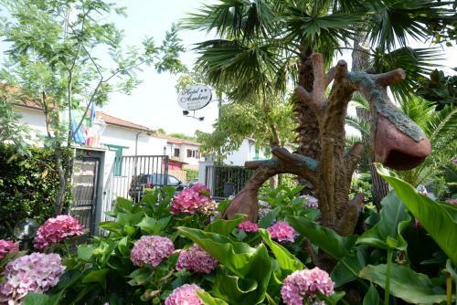 Hotel Ambra