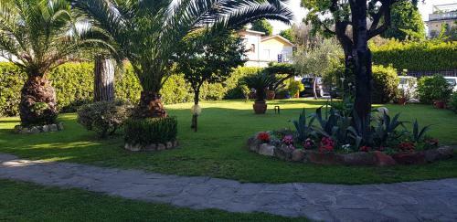 Hotel Ambra
