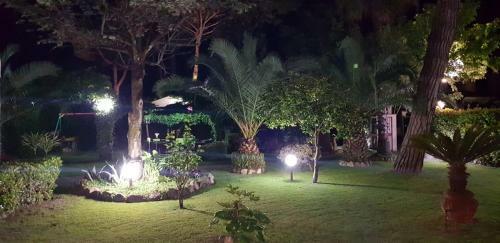 Hotel Ambra
