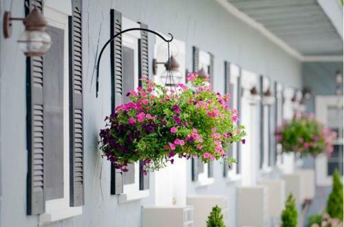 Hotel Santuit Inn