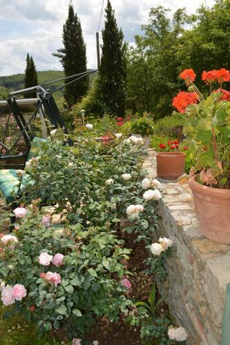 B&B Podere Il Colto