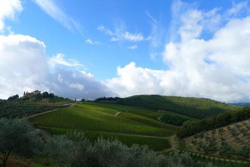 Il Fico In Chianti