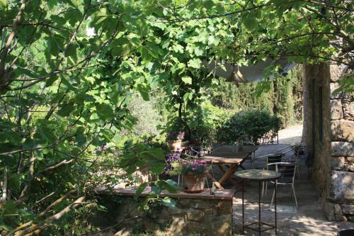 Il Fico In Chianti