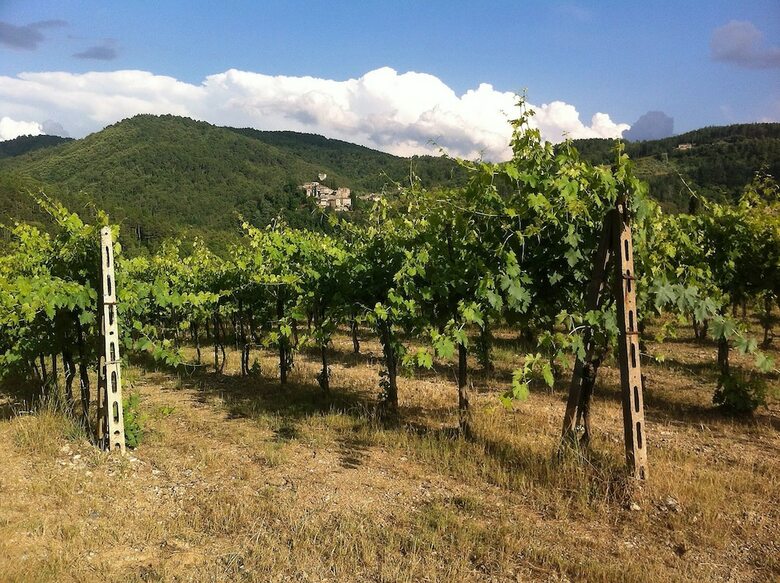Agroturismo Agriturismo Vinci