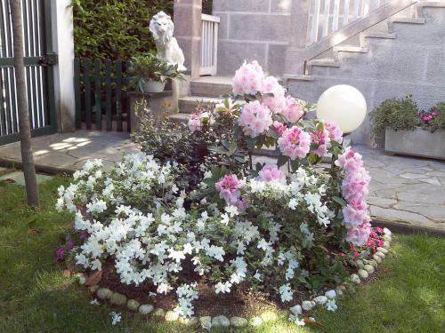 B&B Le Magnolie
