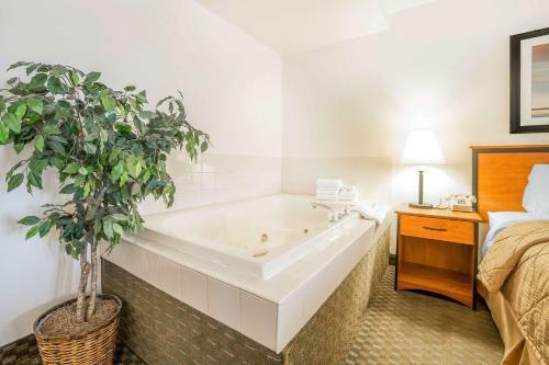 Motel Quality Inn Boulder City