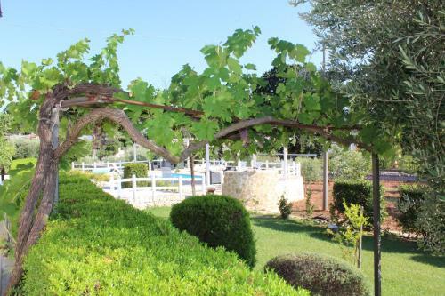 Casa Vacanza Da Gianfranco