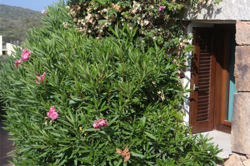Apartamento Sardinia Blu Residence