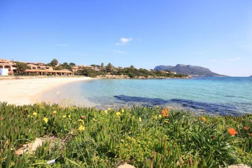 Apartment In S'abba E Sa Pedra Pool Complex