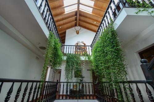 Hostal Camino Real