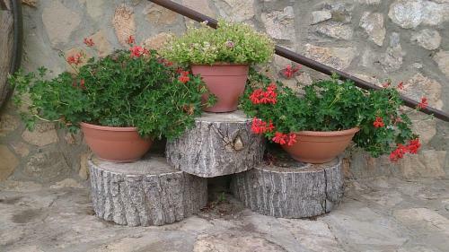 Agroturismo Casa Rural La Masada