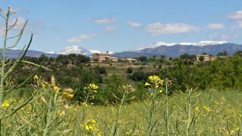 Cases Rurals De Sant Grau
