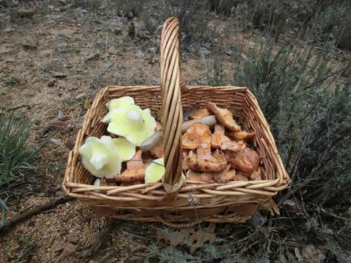 Bed & Breakfast El Capricho De Los Montes