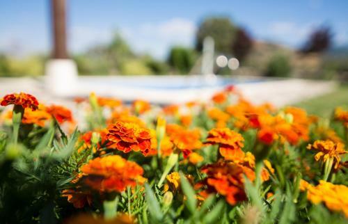 Bed & Breakfast El Capricho De Los Montes