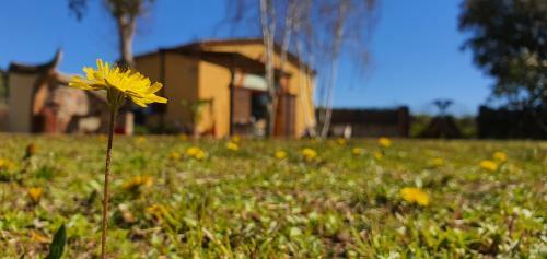 Hotel Masia Can Bachs