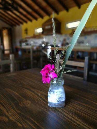 Bed & Breakfast Casa Henalu