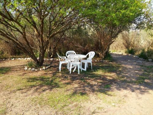 Lodge Bosquecito De Cha�ares