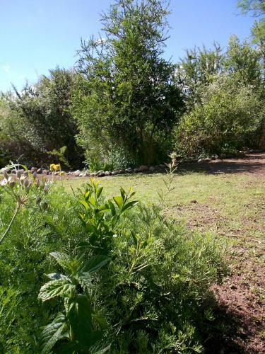 Lodge Bosquecito De Cha�ares