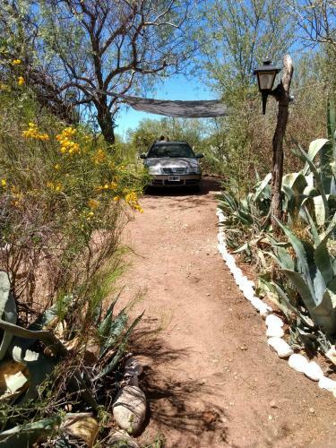 Lodge Bosquecito De Cha�ares