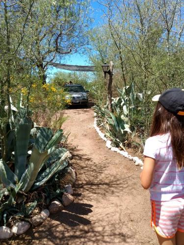 Lodge Bosquecito De Cha�ares