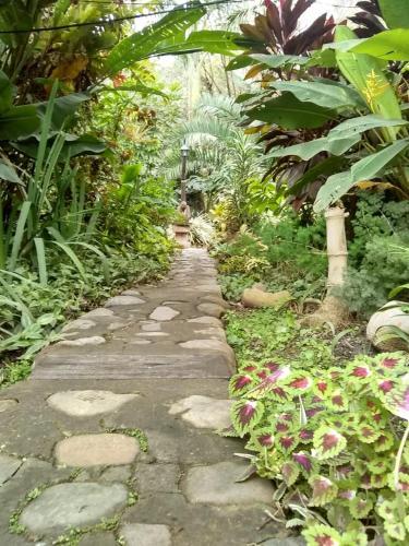 Bed & Breakfast El Jardin Colonial