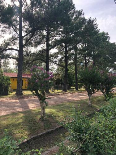 Hostal Port�n Rojo