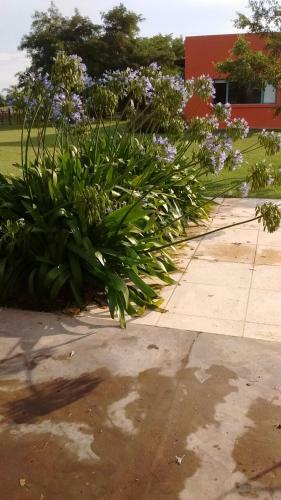 Las Piedras - Casa De Campo