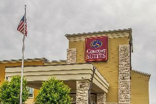 Hotel Comfort Suites Hudson I-94