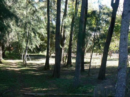 Posada Barlovento