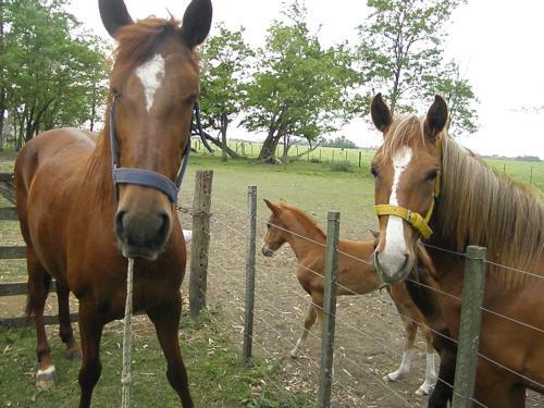Agroturismo Estancia Santa Elena