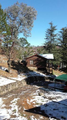Lodge Suenos Del Bosque "cabanas & Vagones"