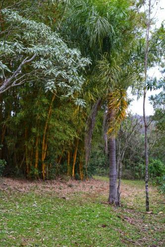 Posada Piel De Timb�
