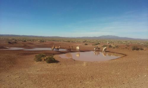 Los Remenizos Caba�as De Monta�a
