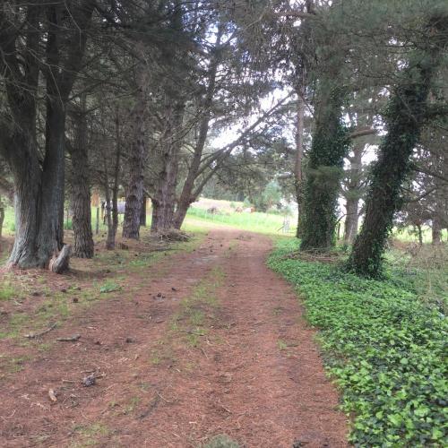 Agroturismo Los 12 Robles