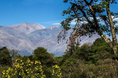 Posada Caba�as Rosaverde