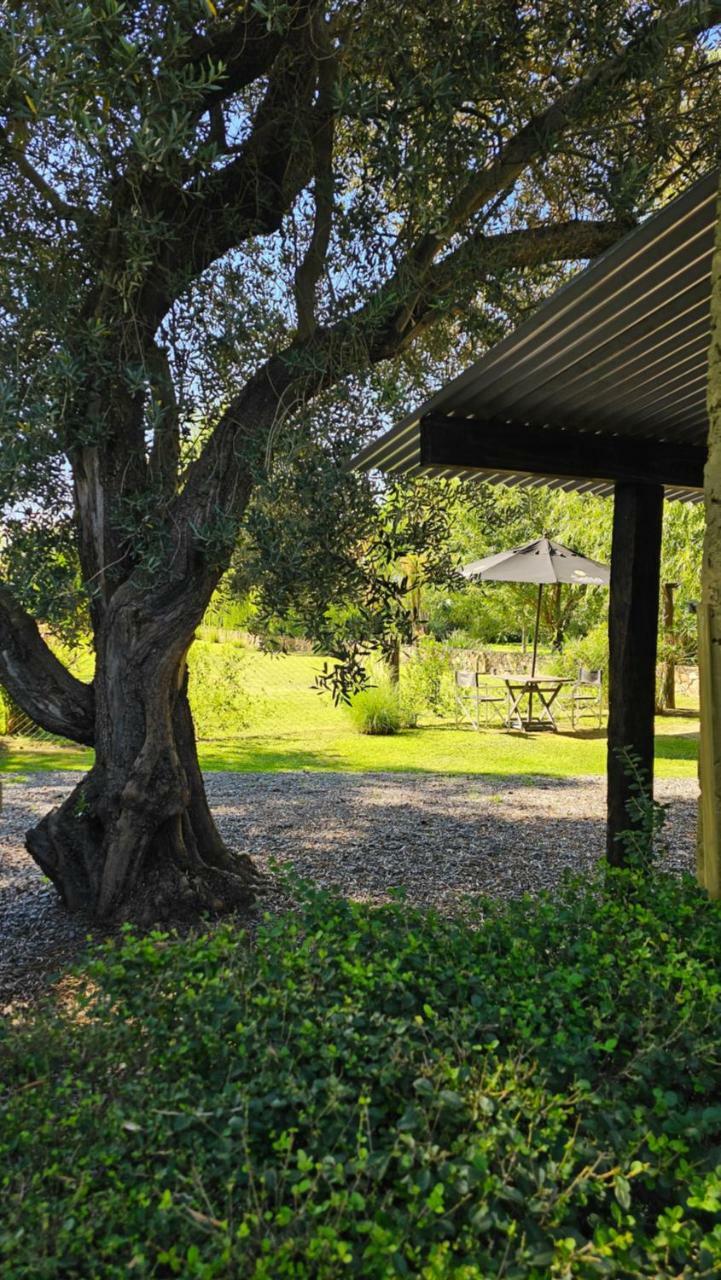 Posada Del Santo Green & Rest - Caba�as