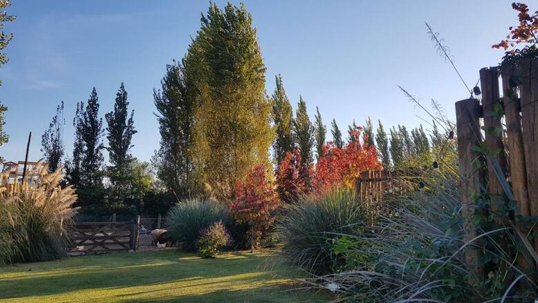 Posada Del Santo Green & Rest - Caba�as