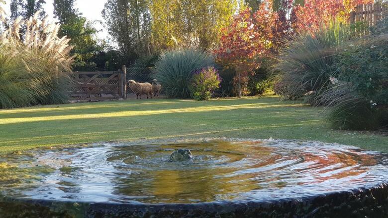 Posada Del Santo Green & Rest - Caba�as