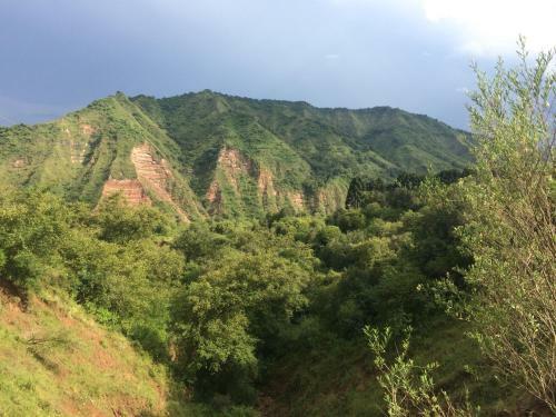Agroturismo La Arbolada