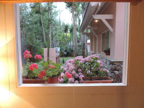 Lodge Puerto De Lilas