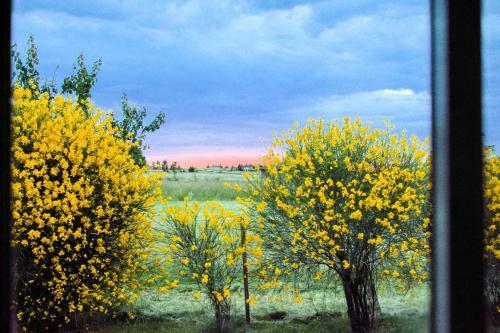 Lodge Caba�as De Las Pinturas